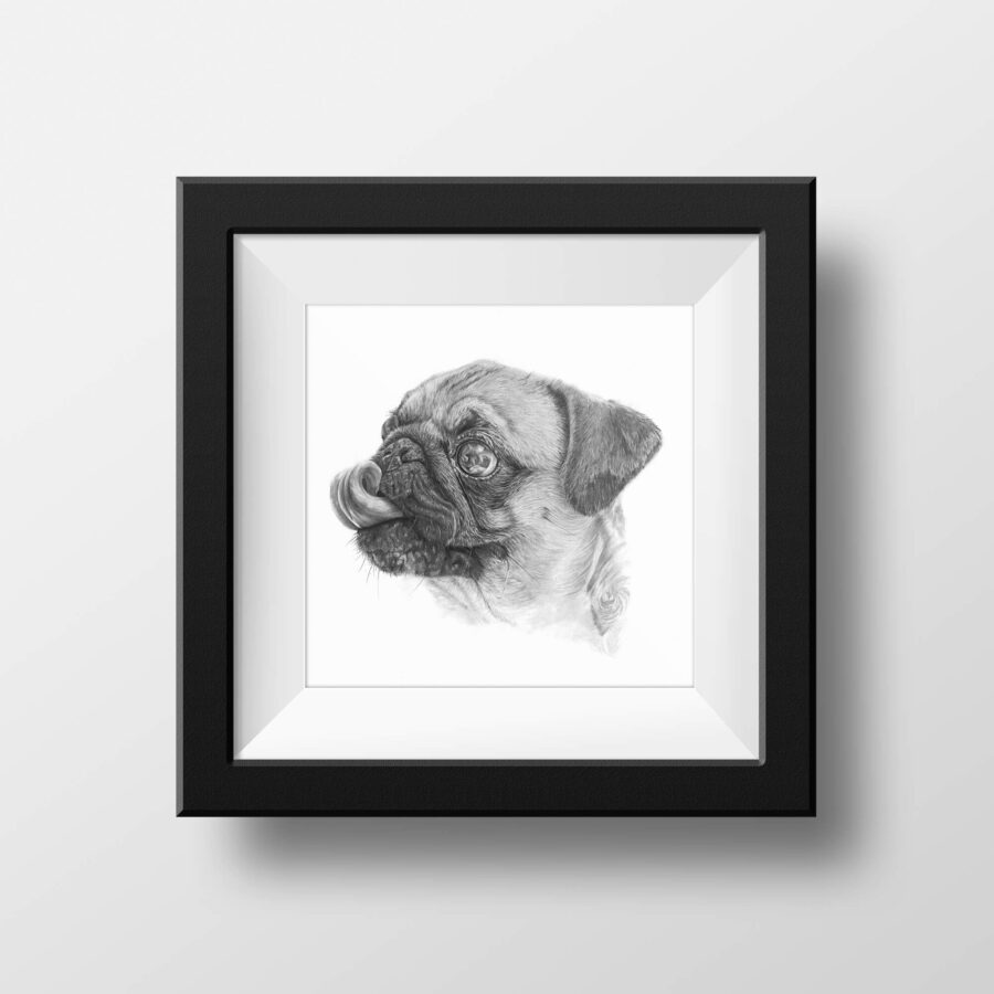 Framed pug drawing