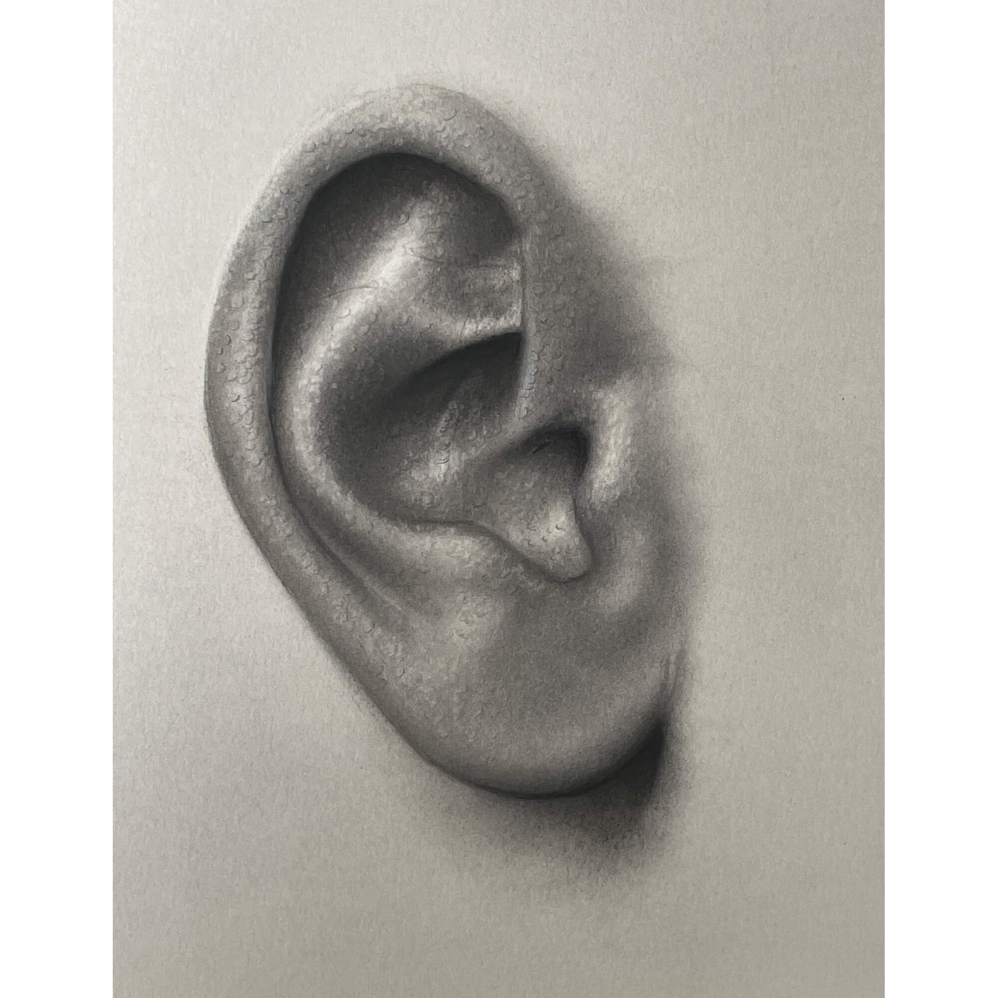 Ear drawing