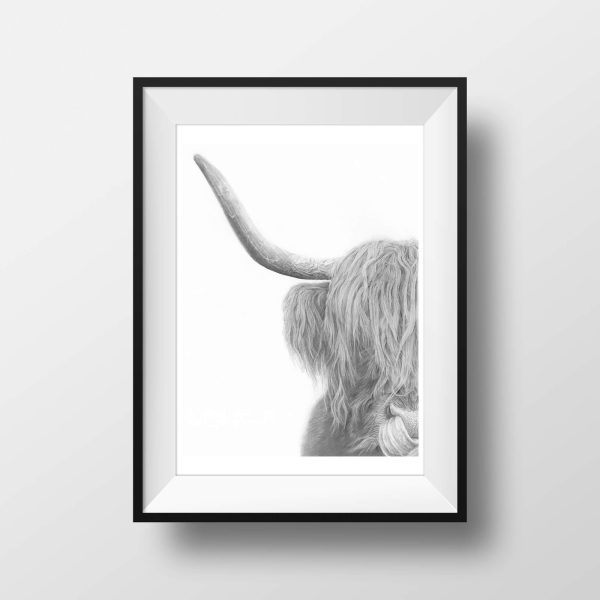 Highland cow edition print - Image 2