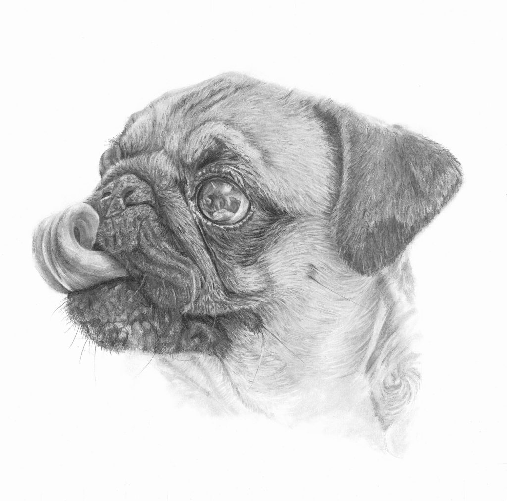 Pug Life Open Edition Print